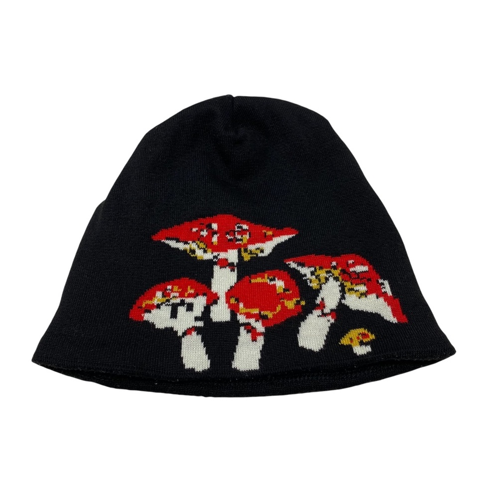 Patagonia Rare Mushroom Forest French Red Beanie